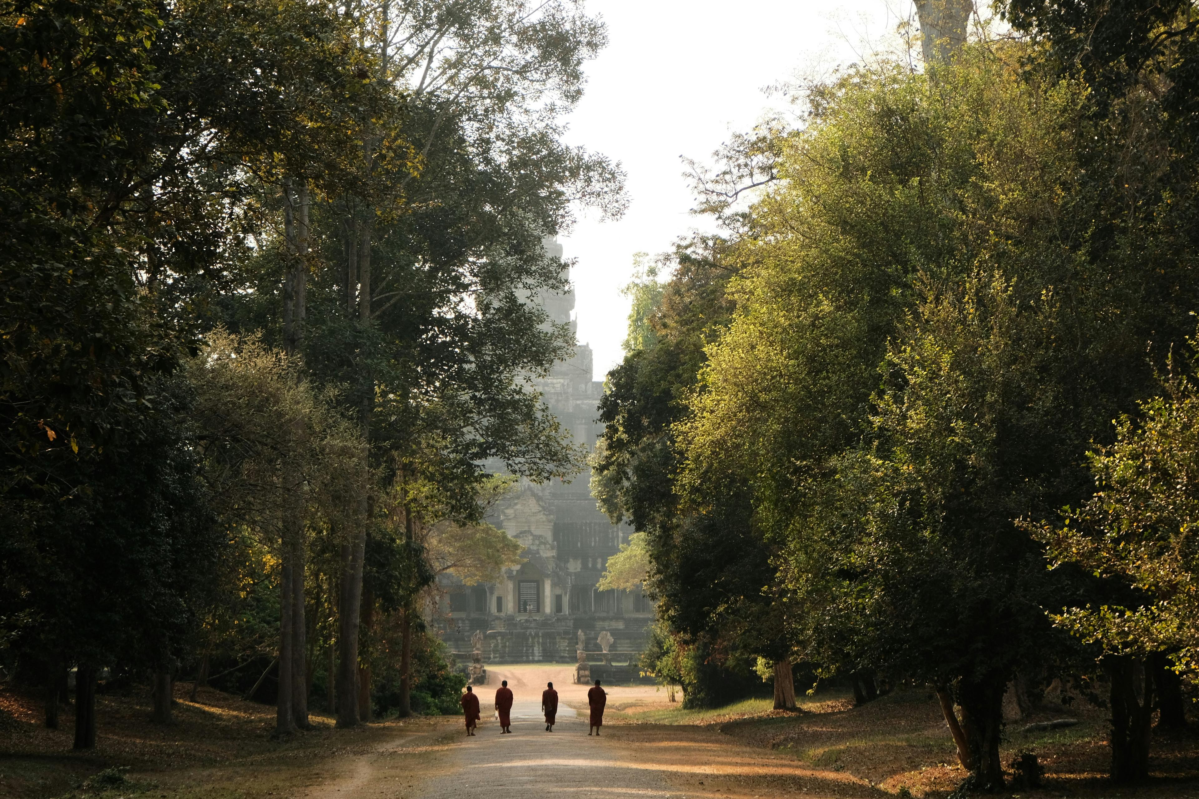 People walking in a forest
